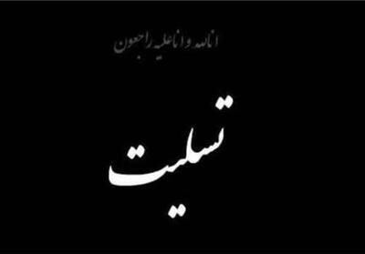  جامعه رسانه کردستان در سوگ همکار متواضع و با متانت - تسنیم