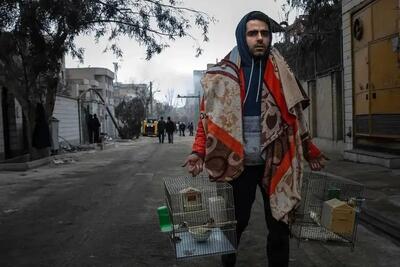  دو تصویر متفاوت از بمباران تهران