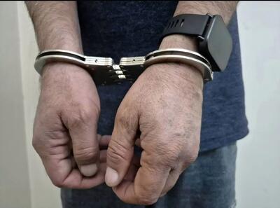  دستگیری گروهی از مزدوران وابسته به آمریکا و رژیم صهیونیستی در کرمان