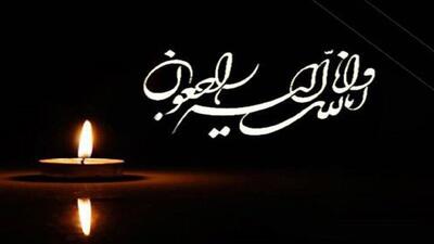  پیام تسلیت رییس سازمان نظام پزشکی برای شهادت کادر درمان