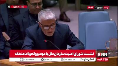  ایروانی: ما اقدام امروز شورای امنیت علیه ایران را به رسمیت نمی‌شناسیم