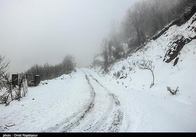  کولاک، بارش پراکنده برف و مه در محورهای کوهستانی زنجان - تسنیم
