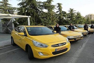  سازمان مدیریت و نظارت بر تاکسیرانی شهر تهران اطلاعیه صادر کرد