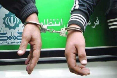 دستگیری 14 نفر از عناصر آمریکایی-اسرائیلی در کرمان