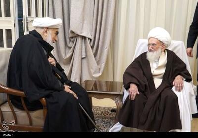  تأکید آیت‌الله نوری همدانی بر حمایت همه جانبه از مقام معظم رهبری - تسنیم