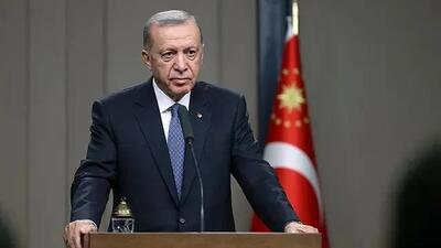  درخواست اردوغان از مردم کشورش: با هوشیاری برخورد کنید