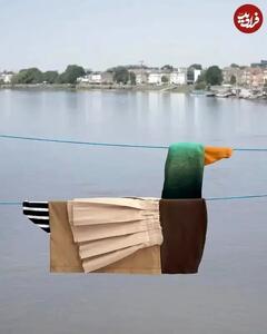  خلاقیت با «لباس‌های روی بند»! + عکس