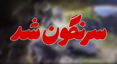  پهپاد آمریکایی در نایین سرنگون شد