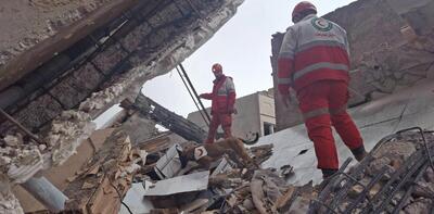  در جست‌وجوی زندگی زیر آوار جنگ/ روایت امدادگر و سگ زنده‌یابش از ۱۲ روز ماموریت سخت در تهران