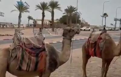  صدای آژیر‌ها در جنوب سرزمین‌های اشغالی