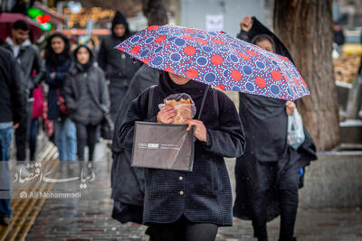  بارش باران در تهران از امروز/ برف و وزش باد در 17 استان