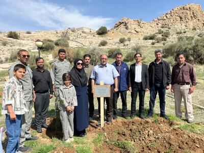 نهال استقامت در دل پارک ملی بمو کاشته شد