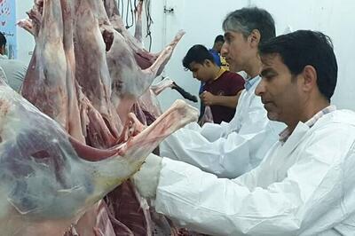  آمادگی کامل دامپزشکی خراسان رضوی برای تداوم تولیدات سالم در شرایط بحرانی