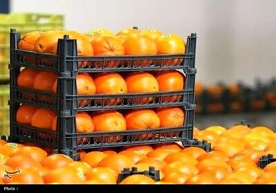  آغاز توزیع میوه تنظیم بازار شب عید در یزد - تسنیم