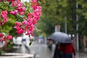  آغاز مجدد بارش در تهران در آخرین روز سال