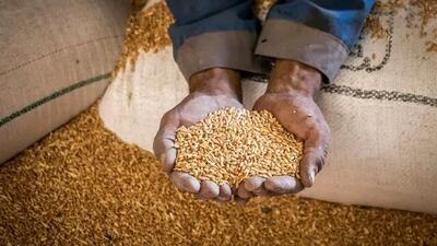  میزان فطریه مقلدان رهبر شهید