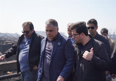  بازدید وزیر نفت از انبار نفت شهر ری/ تقدیر از تلاش سوخت رسانان - تسنیم