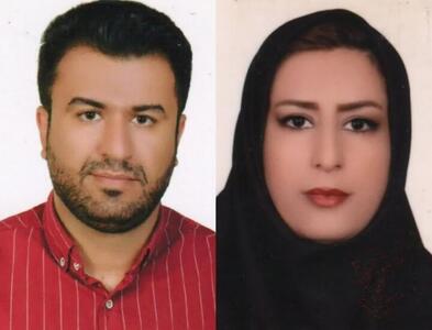  آموزش و پرورش: ۴ معلم در حملات دشمن به مناطق مسکونی دورود شهید شدند