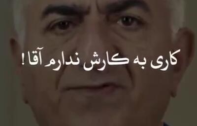  کاری به کارش ندارم آقا!