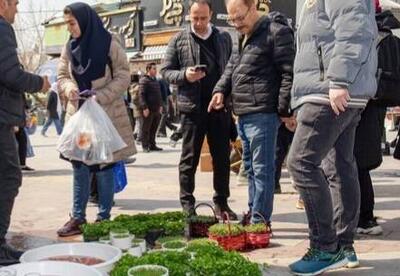  تهران؛ زیر آسمان زخمی، روی زمینِ سبز/ مردم برای عید، زندگی می کارند