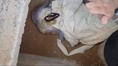  به خاک سپردن شهید دو ساله حمله آمریکا و اسرائیل