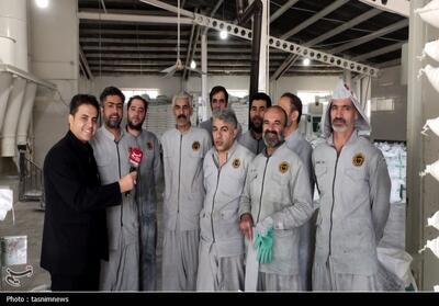  اینجا همه برای تامین آرد پای کارند فیلم - تسنیم