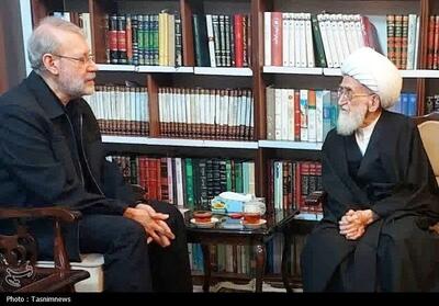  آیت‌الله نوری‌همدانی: شهید لاریجانی هیچ‌گاه سر تسلیم فرو نیاورد - تسنیم