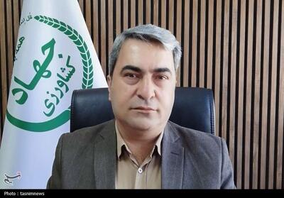  931 تن کالای اساسی در کهگیلویه و بویراحمد توزیع شد - تسنیم