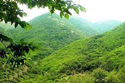  پیش‌بینی هواشناسی مازندران برای نیمه اول نوروز