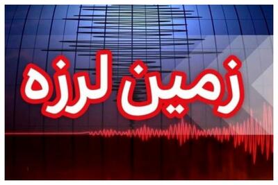  فوری/ بوشهر ۵ بار لرزید
