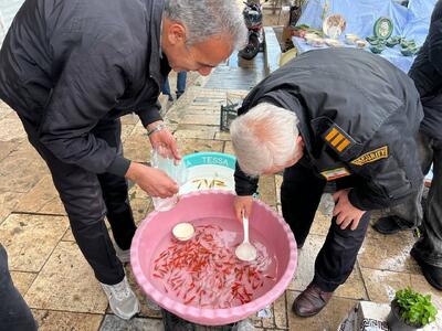 واپسین لحظات ۱۴۰۴؛ چه خبر از بازار گل؟