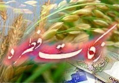  آمادگی 1200 پایگاه کمیته امداد برای جمع‌آوری زکات فطریه در مرکزی - تسنیم