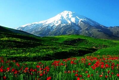  این سرو قد کشیده سرفراز خواهد ماند!/این سر قد کشیده بی نیاز خواهد ماند!