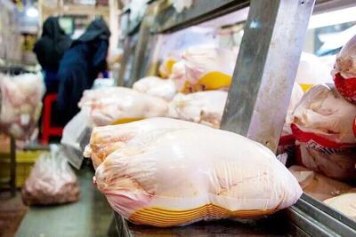  قیمت جدید خرید مرغ گرم تعیین شد