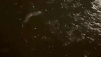  سیل در هاوایی؛ زیان های بیش از یک میلیارد دلا ر به جا گذاشت