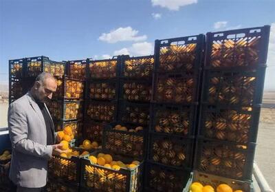  نظارت کامل بر زنجیره تأمین تا توزیع میوه شب عید در خراسان جنوبی - تسنیم