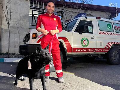  این سگ جان دو نفر را در زیر آوار نجات داد!