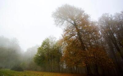  تشدید گشت‌زنی‌های حفاظت محیط‌زیست اصفهان