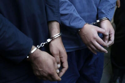  عوامل شبکه معاند اینترنشنال در خراسان شمالی دستگیر شدند
