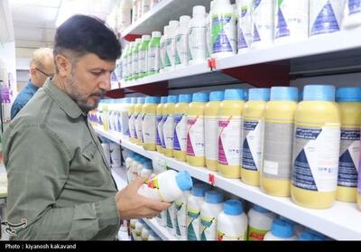  تصویب و ابلاغ تعرفه مشاوره دارویی در داروخانه‌ها - تسنیم