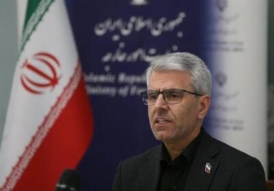 سخنگوی وزارت خارجه: نگران زندگی شهروندان خود هستیم