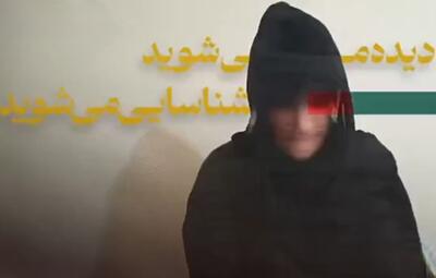  فاصله کوتاه‌تر از آن بود که ارسال‌کنندگان ویدیو به رسانه‌های ضدایرانی فکر می‌کردند