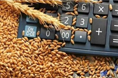  کشاورزان آستین بالا زدند / خبر خوش از مزارع طلایی جنوب در راه است