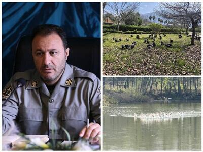  انتقال موقت پرندگان باغ پرندگان لویزان به مازندران