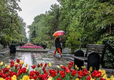  رشد 35 درصدی بارش در لرستان/ معمولان در صدر بارندگی - تسنیم