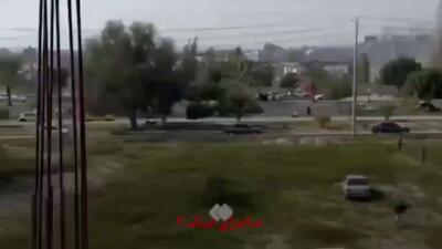  روایت واقعی مدرسه شجره طیبه میناب + فیلم