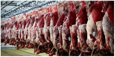  قیمت گوشت قرمز و گوساله در بازار چند؟