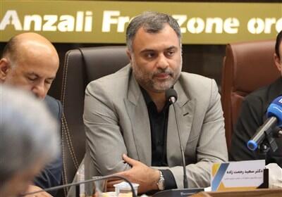 مناطق آزاد از ظرفیت بالایی در تحقق سیاست‌های اقتصاد مقاومتی برخوردارند - تسنیم