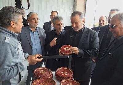  برپایی 250 غرفه صنایع‌دستی برای رونق اقتصاد بومی خراسان جنوبی - تسنیم