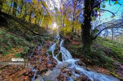  وضعیت جوی مازندران در هفته پیش رو چگونه است؟